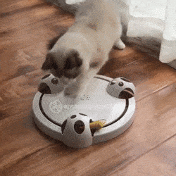 Jouet souris rotative pour chats