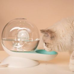 Fontaine à eau automatique pour chat
