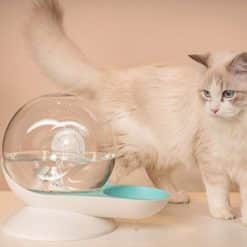 Fontaine à eau pour chat bulle