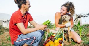 Fruits et légumes que votre chien peut ou ne peut pas manger