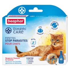 Diméthicare pipettes anti parasites pour chats