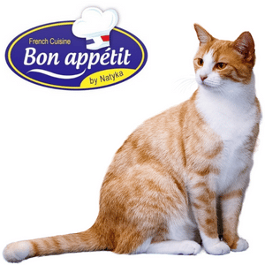 Bon appétit chat