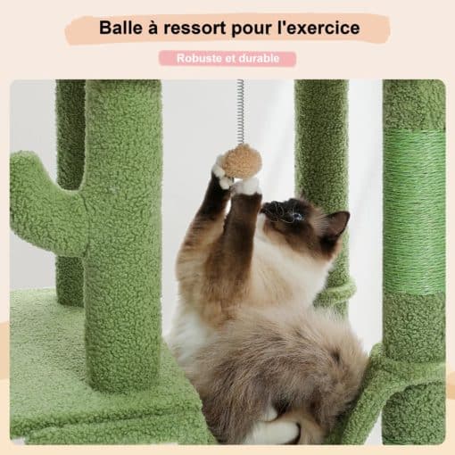 Balle élastique pour chat